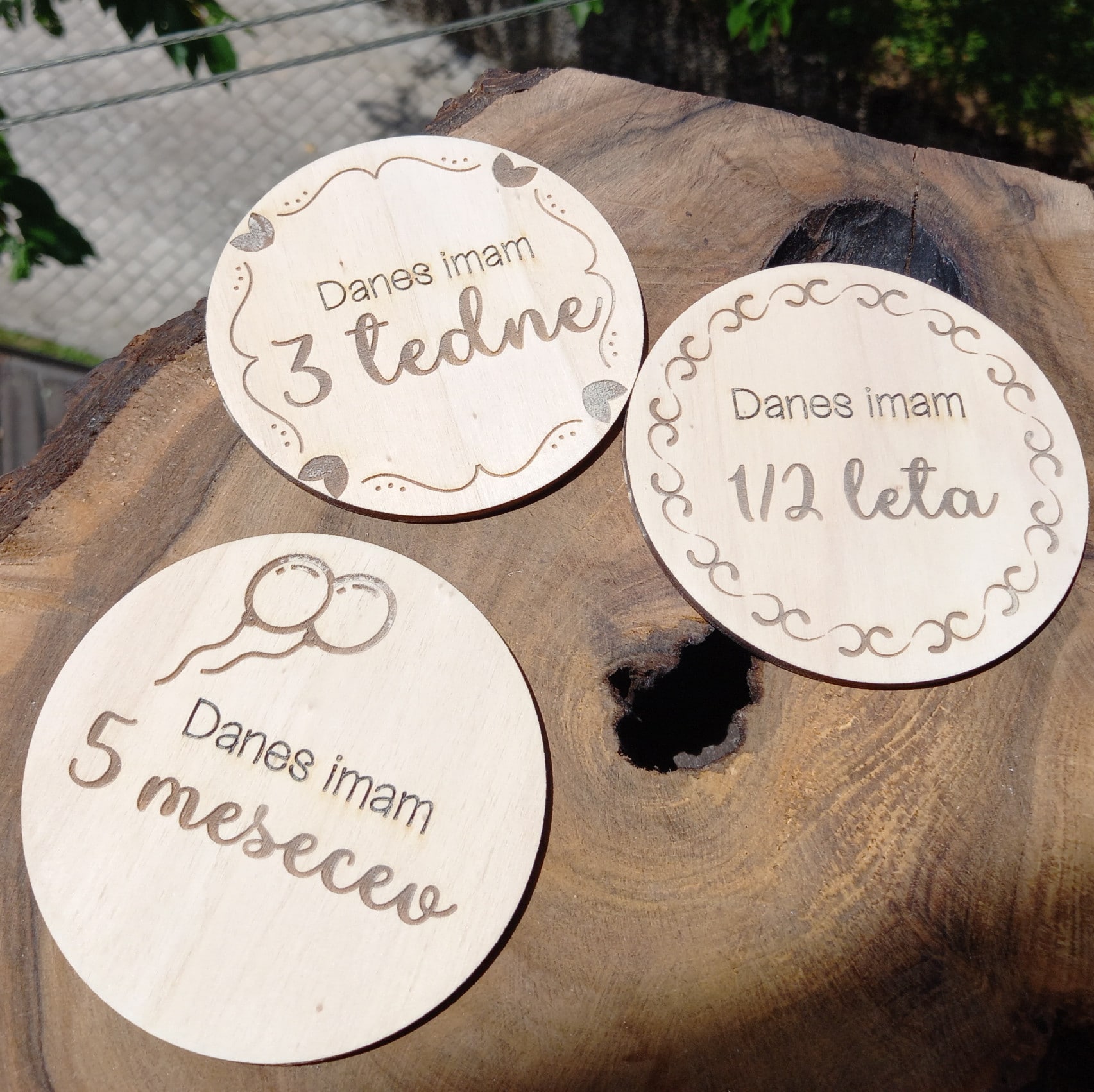 Lesene kartice mejnikov