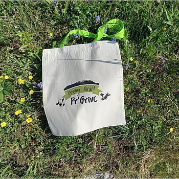 Bombažna vrečka z barvnim ročajem - velika